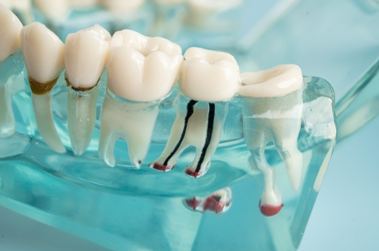 City Dental Studio